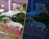 Fluorescent cotton bedding 140x200cm HORSE