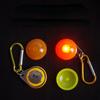Led Luminous Dog Collar Pendant Pet Outdoor Travel Safety Collar Pet Flash Light Leash Decor Dog Necklace With Buckle