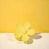 Yellow Hair Claw Clips Flower Shaped Plastic Jaw Clips Anti-scratch Smell-less Useful Hold Tightly Light Hair Accessories for Beauty and Personal