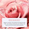 Pflanzenextrakt-Serum mit Aloe Vera – Hypoallergene, parfümfreie, feuchtigkeitsspendende Gesichtsessenz, Feuchtigkeitsspendendes Gesichtsserum