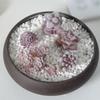 Charming For Bonsai Succulent Arrangement For Home Office Decor Artificial Succulents Plant Small Bonsai Decor Without Basin