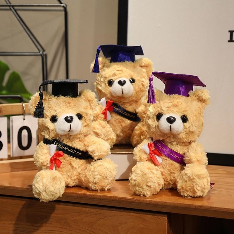 Gift Graduation Drteddy Bear Plush Toy Stuffed Animal Doll Decoration Kids