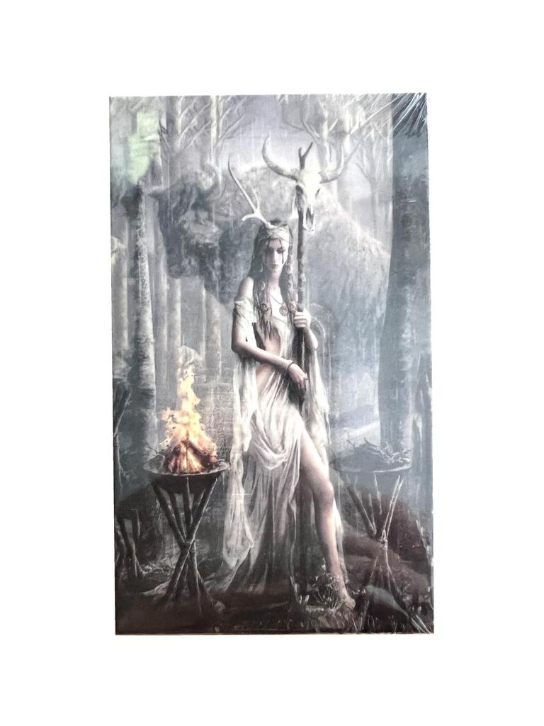 Lucid Dreams Tarot: Beginner's English Edition
