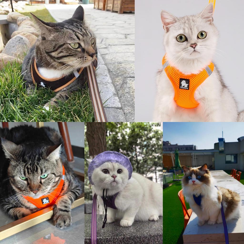cocomall 2026 Latest Dog Harness and Leash Set for Small Medium and Features breathable reflective easy to put and TRUE LOVE Harness and Leash Set