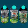 Semi-transparent Aquarium Isolation Box Suction Cup Aquarium Breeder Feeder  Aquarium