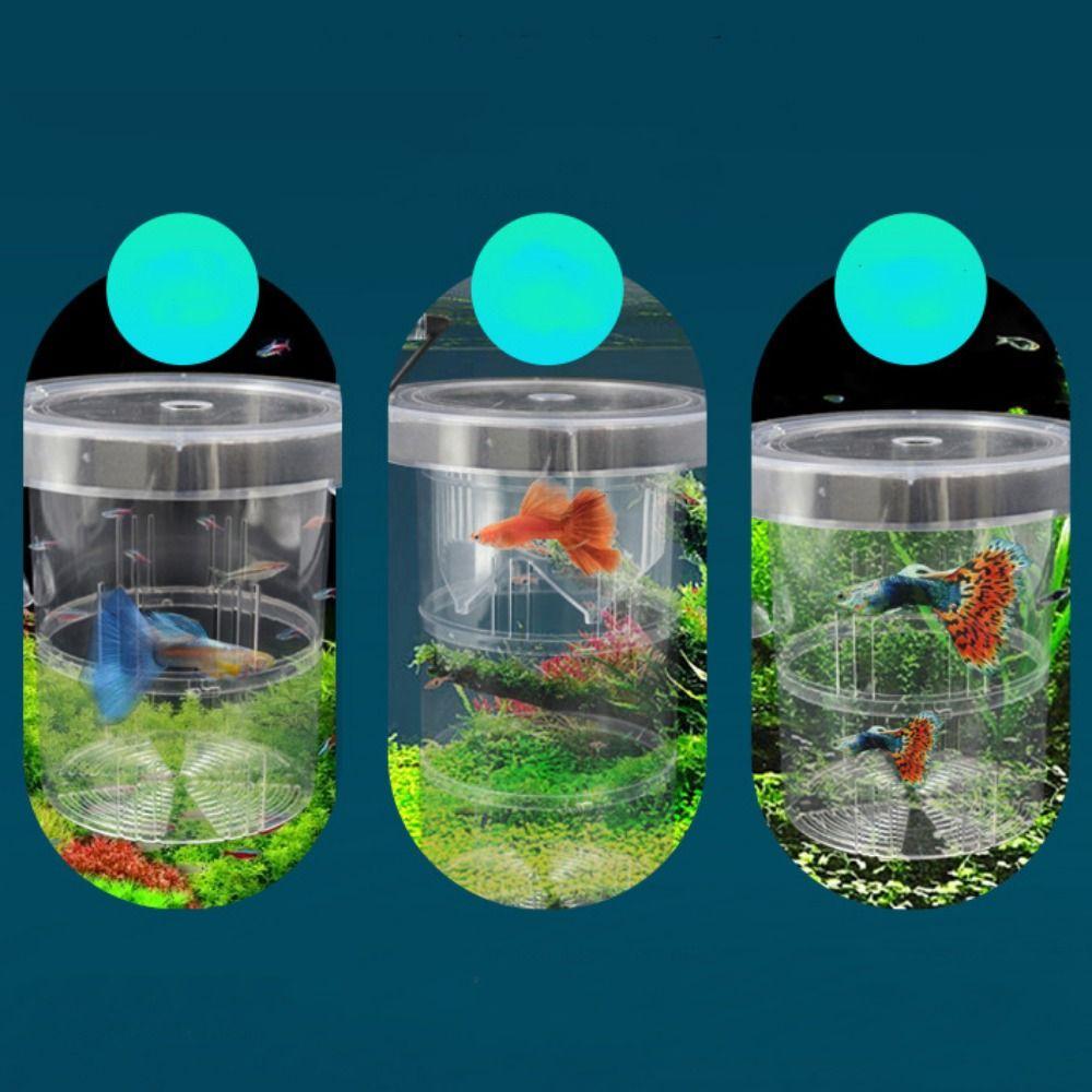Semi-transparent Aquarium Isolation Box Suction Cup Aquarium Breeder Feeder Aquarium
