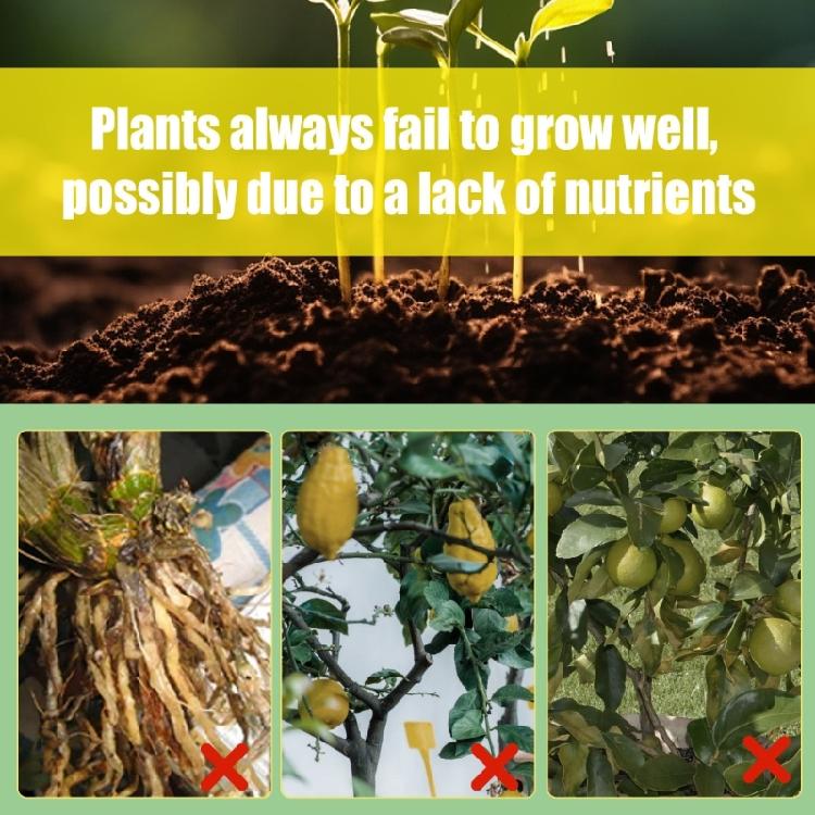 Professional Lemon Tree Spray Fertilizers Concentrate for Plant and Flowers