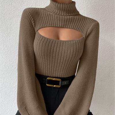 Pullovers and Sweaters For Women Turtleneck Hollow Out Outerwear Knitted Sweater Tops Femme Lantern Sleeve Knitwears Top