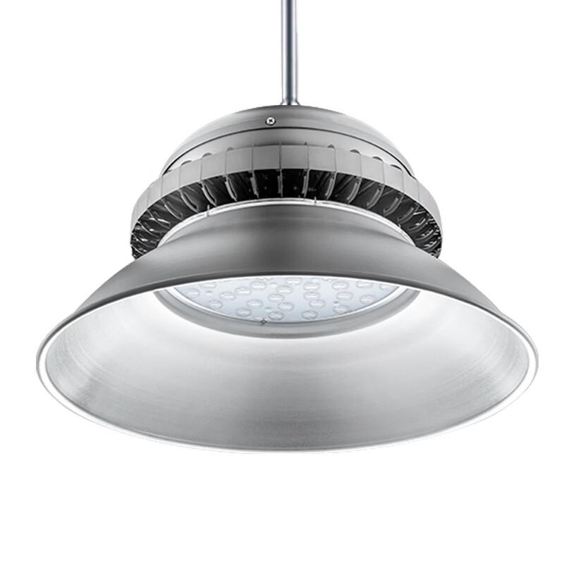 LEES 100W Industrial LED Pendant High Bay Light