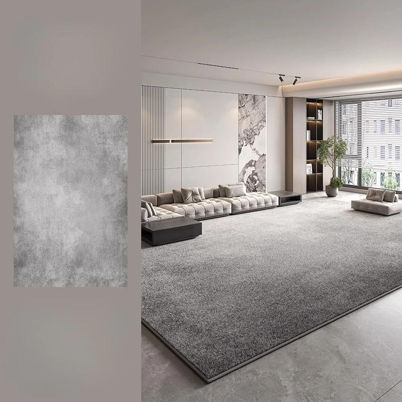 Modern Style Bedroom Decor Plush Carpet Large Area Carpets for Living Room Thick Washable Lounge Floor Mat Fluffy Soft Study Rug