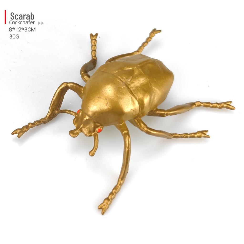 Children's Cognitive Teaching Toys: Insect Models - Butterfly, Ladybug, Rhinoceros Beetle, Bee, Grasshopper