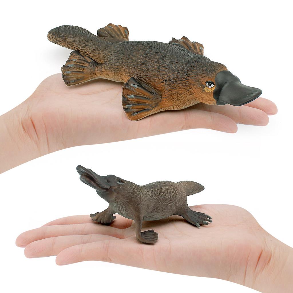 Forest Mammal Platypus Model Children'S Cognition Australian Duck Otter Tabletop Ornament