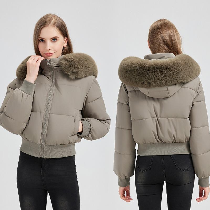 Winter New Fur Collar Casual Versatile Cotton Clothes Hooded Short Thermal Cotton-padded Clothes Thickened Fashion Jacket