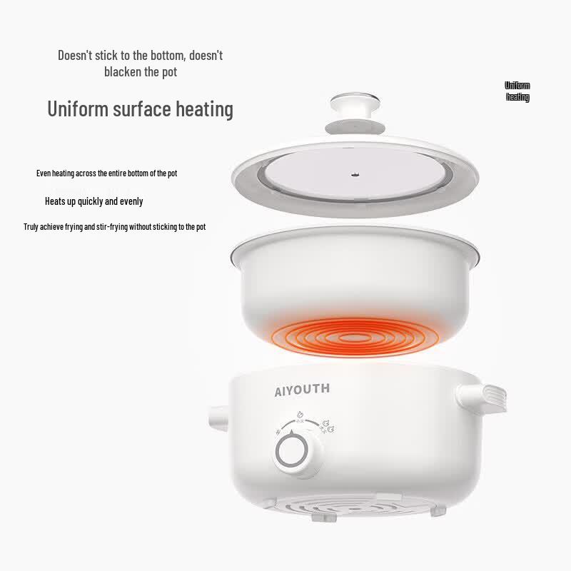 AIYOUTH 3L Multi-functional Electric Cooking Pot with Steamer