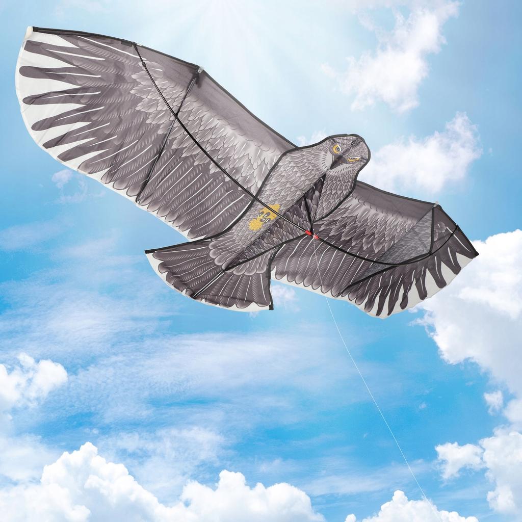 KADAX Drachen für Kinder Groß 180x80cm Adler Vogel Leine