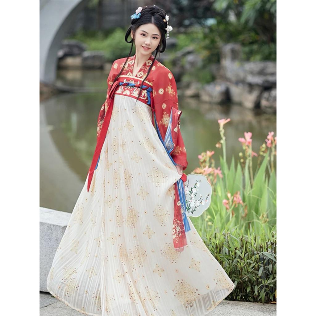  Traditional Chinese Hanfu Dress - Tang Dynasty Floral Print Matching Outfits for Women