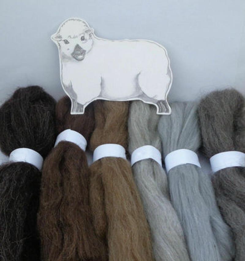 Multi Color Wool Felt Fibre for DIY Doll Needle Felting Wool Hand Spinning Needlework Raw Wool Roving