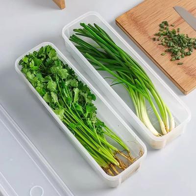Cilantro Scallion Storage Box Kitchen Fridge Freshness Herb Organizer With Lid Noodles Eggs Vegetable Preservation Container