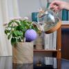 Plant Self Watering Globes Watering Device Automatic Plant Waterers Potted Plant Watering Device Self Watering Spikes
