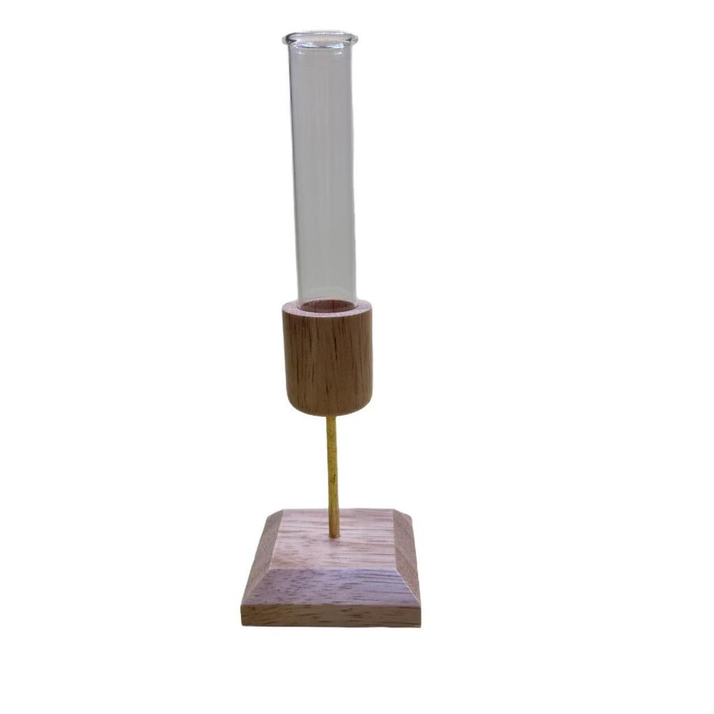 Creative Wooden Vase with Glass for Hydroponic Plants and Flowers