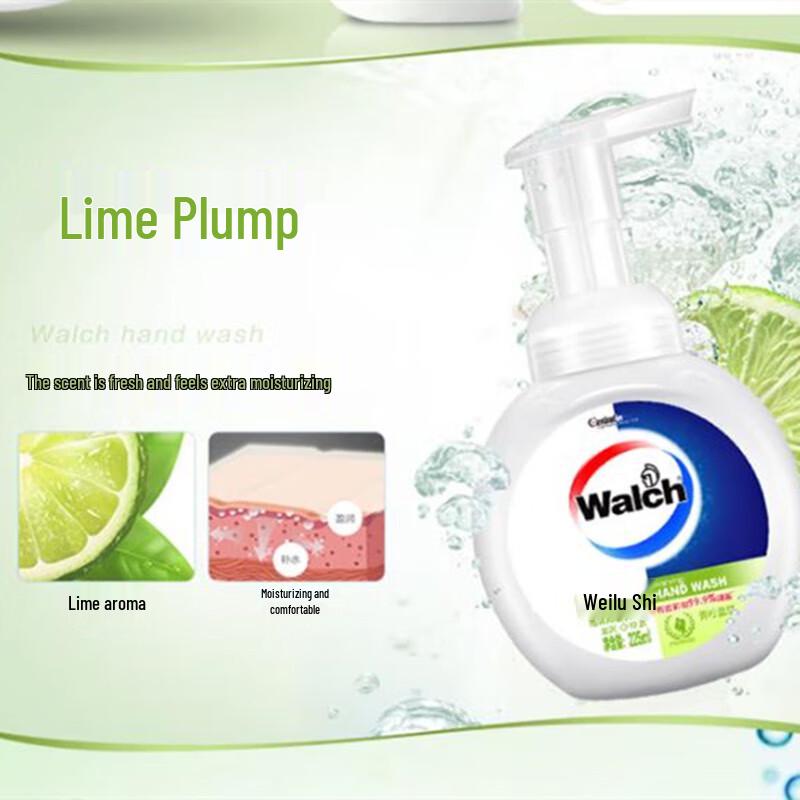 Walch Foaming Antibacterial Hand Soap
