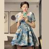 2026 New Summer Women's French Painting Print Princess Dress, Unique Chic Gown for Special Occasions