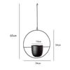 Hanging with for Balcony or Balcony Use Planter, Iron, Hooks, Wall-Mounted (Large, Round)