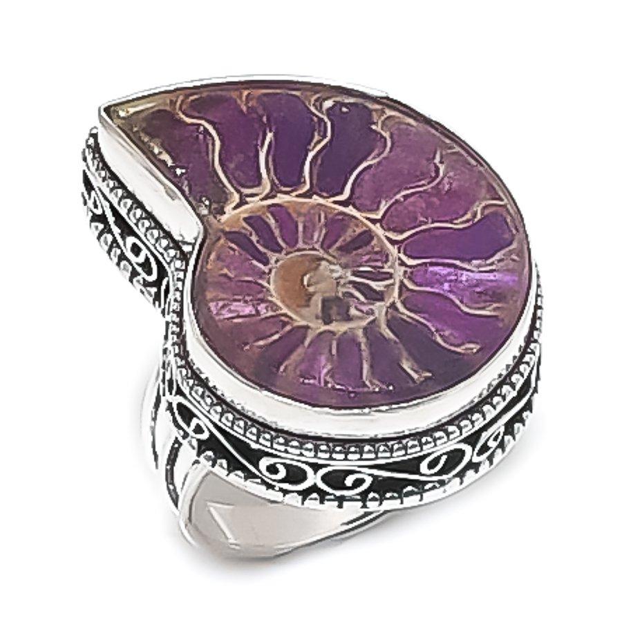 

Ammonite Fossil Gemstone 925 Sterling Silver Jewelry Ring Size 10