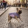 Quick-drying Dog Sun Protection Vest Ice Feeling Fabric Pet Sunscreen Clothes  Pet Cats