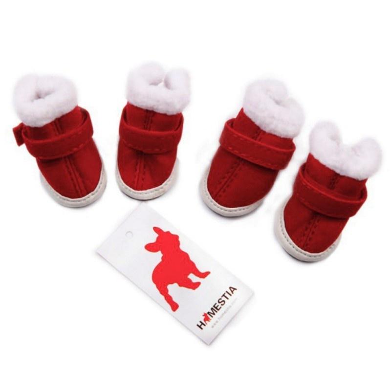 red dog shoes