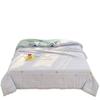 New A-Type Summer Cooling Quilt - Lightweight Single & Double for Dorms, Kids & Gifts