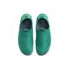 Nike ACG Moc 3.5 Neptune Green Thunder Blue Summit White Men's Shoes DO9333-301