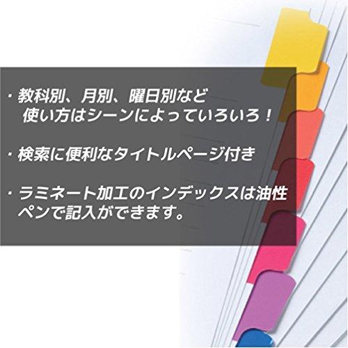 Maruman LT3012F Index A4 Wide, 30 Holes (Compatibl