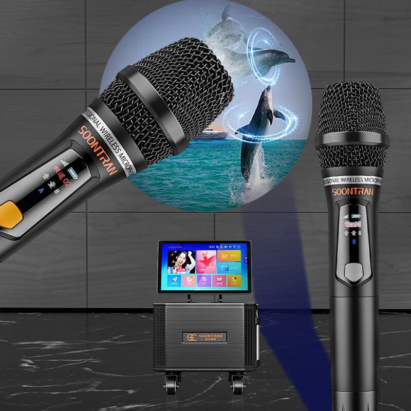 Songchuan SG30-10 Outdoor Karaoke Video Speaker CN plug (adapter included)