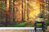 Photomural Forest Autumn Colors Self-Adhesive Mural 180x120