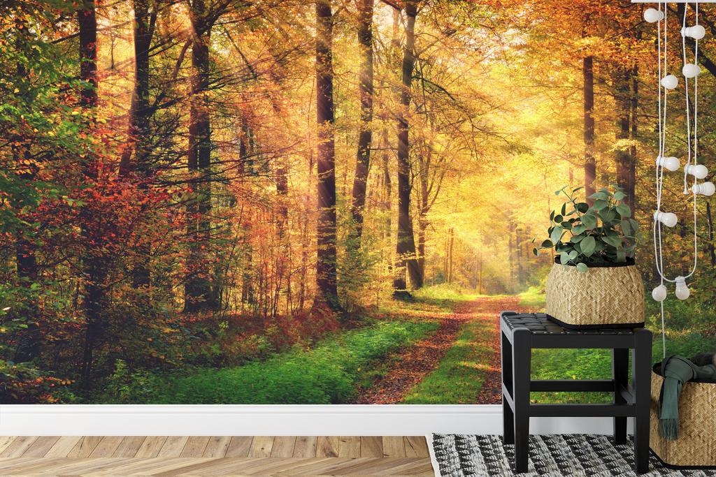Photomural Forest Autumn Colors Self-Adhesive Mural 180x120
