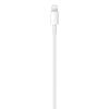 Apple USB-C to Lightning Cable (1m)