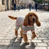 Elastic Colorful Striped Dog Jumpsuits Breathable Puppy Rompers Fashion Cat Pajamas  Cats Dogs