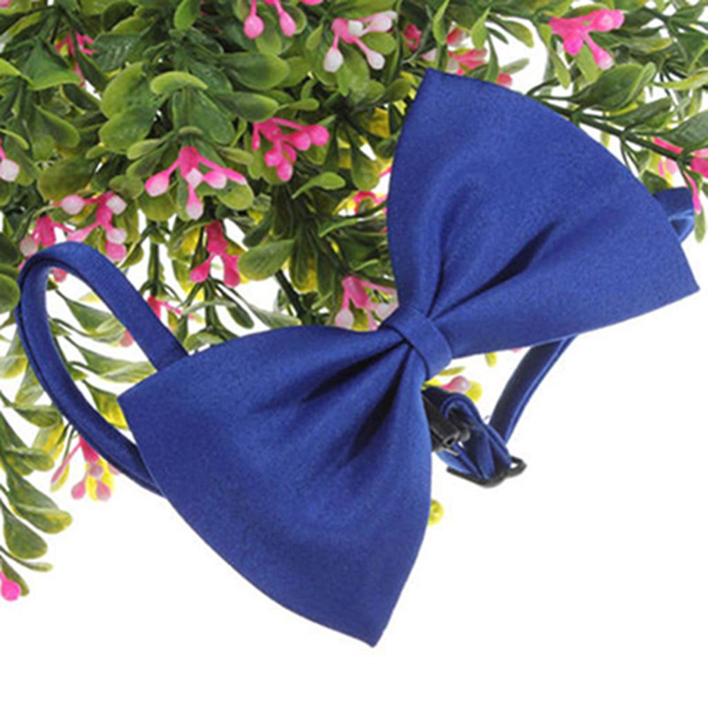 Söt enfärgad justerbar kattfluga för hundhalsband Bowknot slips fluga