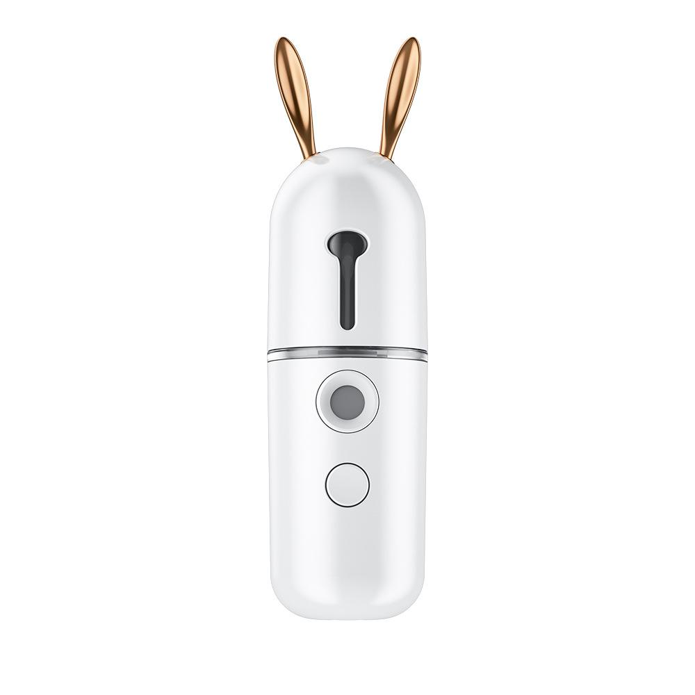 Cartoon Hydrating Spray Instrument Face Steamer Household Handheld Charging Portable Cold Spray Facial Humidifying Hydrating Instrument