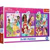 34884 "3x80 - Princess Friends" / Disney Princess