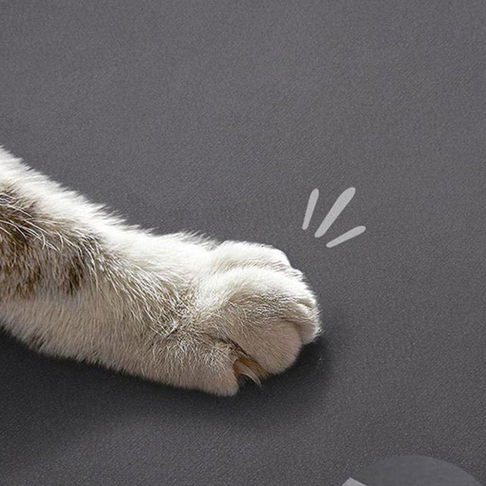 Thickened Cat Dog Placemat Multi-purpose Diatom Mud Floor Mat Soft Toilet Door Rugs  Living Room