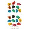 10Pcs Rock Climbing Holds Beginners Accessories Climbing Rock Wall Grips for Home Gym Tree Climbing Tree House Outdoor Climbing