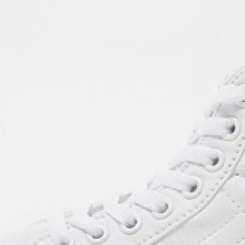 Vans Skates Hi True wHite Vn000d5iw001