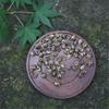 200g New Jasmine Dragon Pearls Green Tea Premium