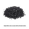 Pack of 10 Replacement Filters Optimizes Your Pet Drinking Routine Cats Fountain