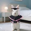 Small Pet Graduation Costume Set Rabbit Graduation Cap And Gown Set Pet Grad Outfit with Tassel for Bunny Tiny Dogs Cats Dolls Holiday Accessory