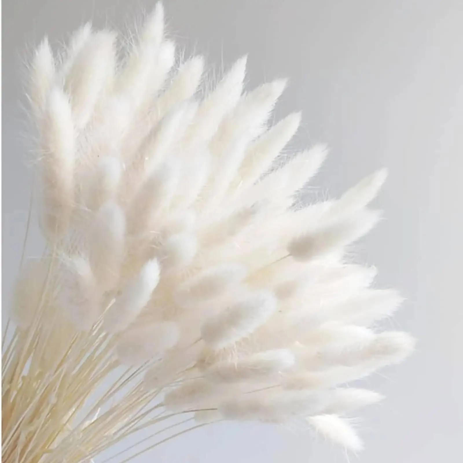 

Mix Gemstone Grass Bouquet Bunny Tails Dried Flowers,White Pink Natural Dry Pampas for Vase,Arrangement Wedding,Home Decoration 50Pcs белый