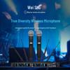 Weishu DC-16S Professional True Diversity Wireless Handheld Microphone System (CN version)