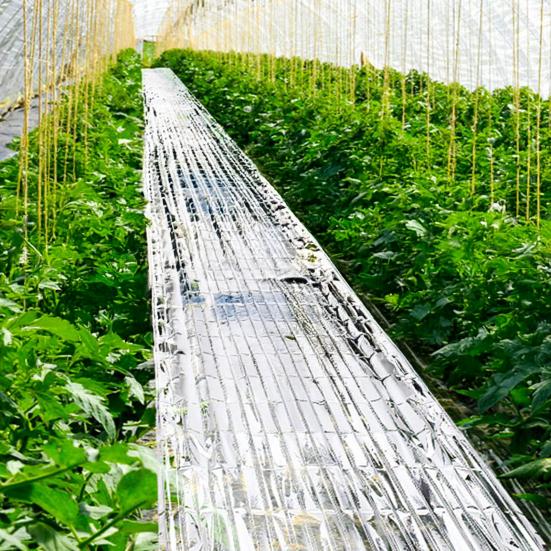 Greenhouse Reflective Film Silver Reflective Mylar Film Garden Covering Foil Sheets Increase Plants Growth